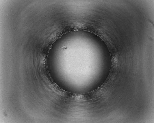 X0000102820472200808251115