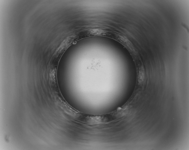 X0000102820473200808251115