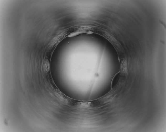 X0000102820474200808251115