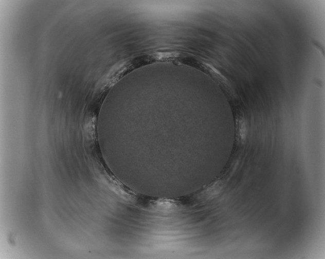 X0000102820475200808251115