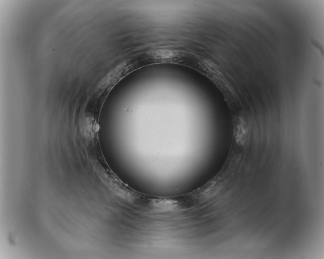 X0000102820476200808251115
