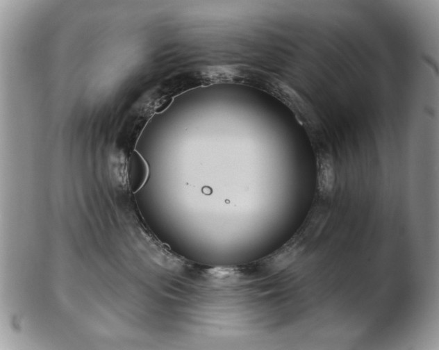 X0000102820477200808251115