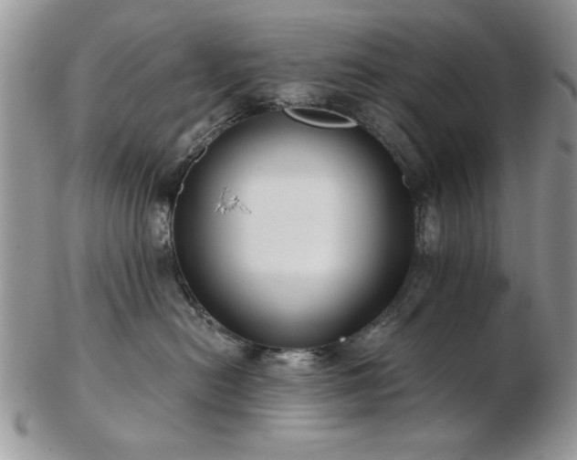 X0000102820478200808251115