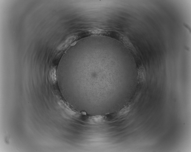 X0000102820479200808251115