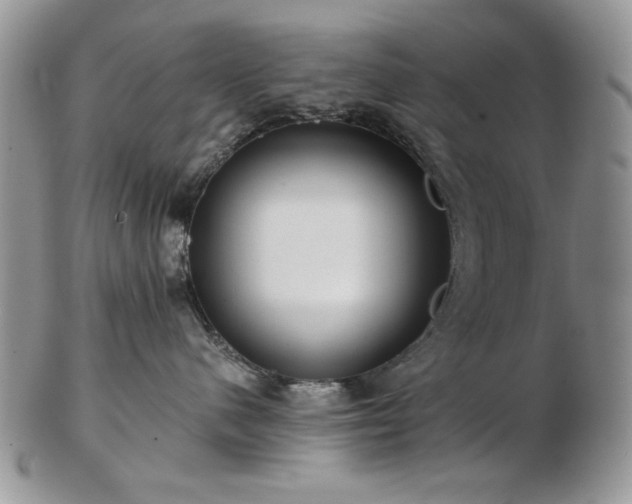 X0000102820480200808251115