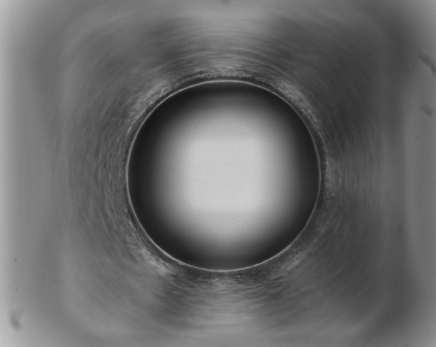 X0000102820481200808251114