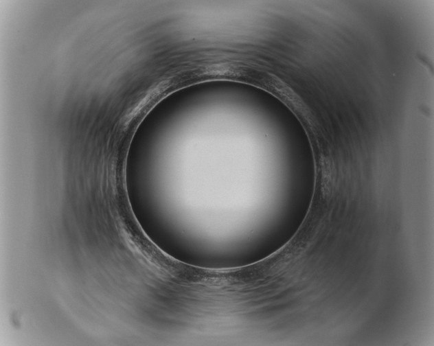 X0000102820482200808251114
