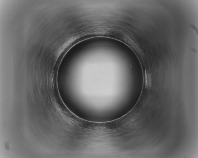 X0000102820483200808251114