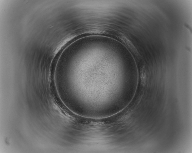 X0000102820484200808251114