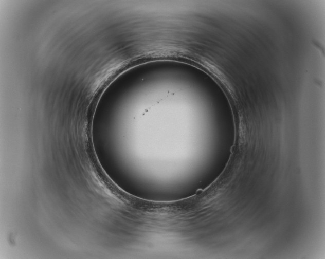 X0000102820485200808251114