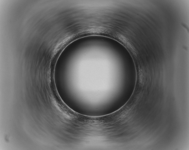 X0000102820486200808251114
