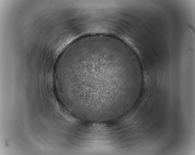 X0000102820487200808251114