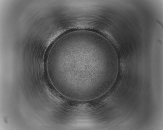 X0000102820488200808251114