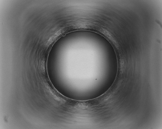 X0000102820489200808251114