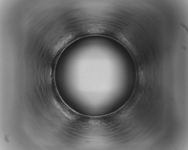 X0000102820490200808251114