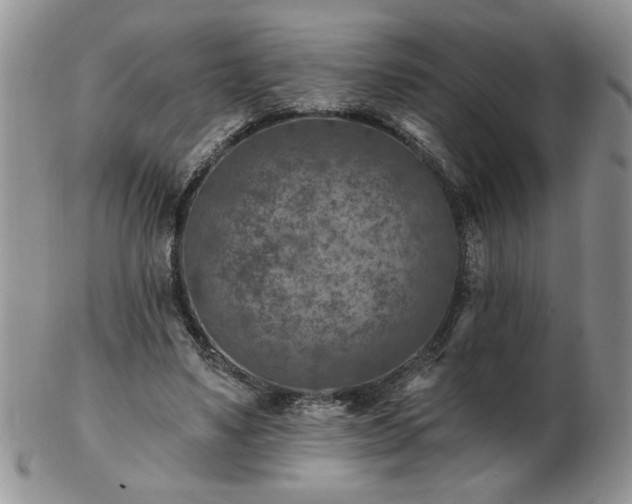 X0000102820491200808251114