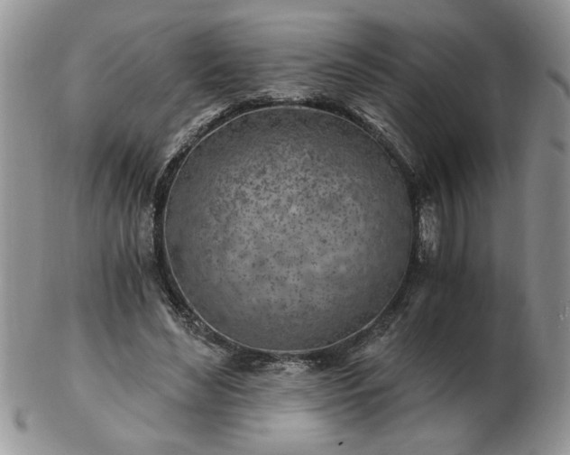 X0000102820492200808251114