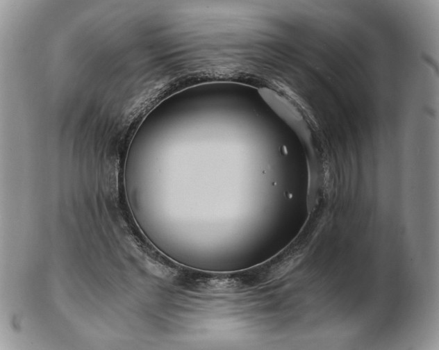 X0000102820493200808251114