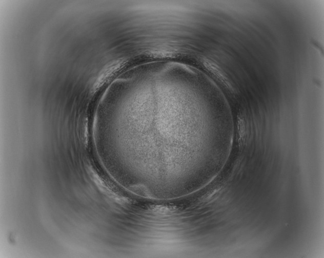 X0000102820494200808251114