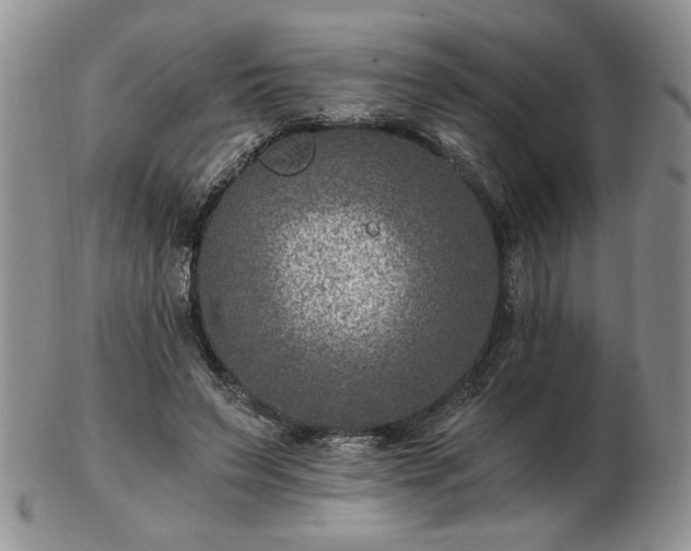 X0000102820495200808251114