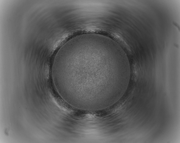 X0000102820496200808251114