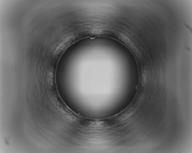 X0000102820497200808251114