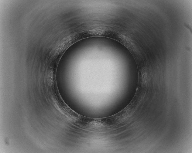 X0000102820498200808251114