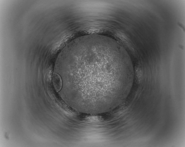 X0000102820499200808251114