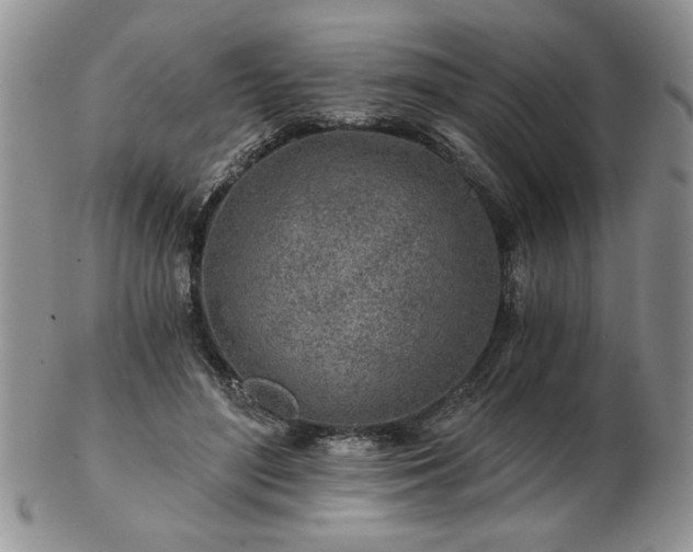 X0000102820500200808251114