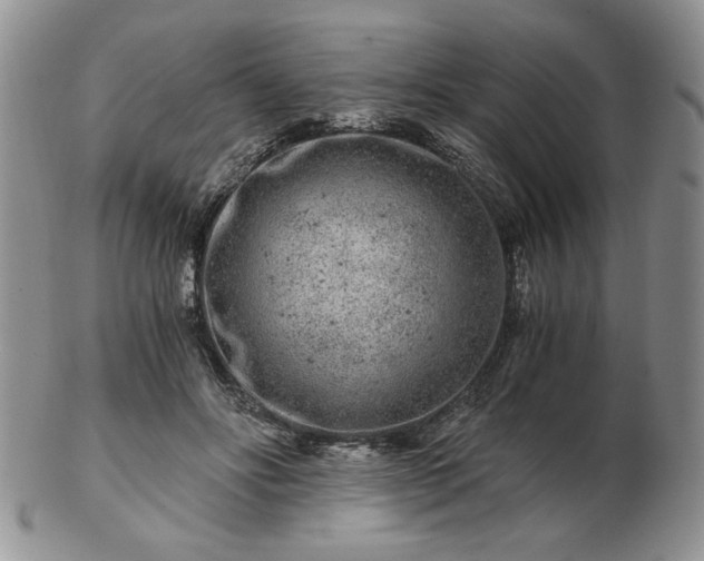 X0000102820502200808251114