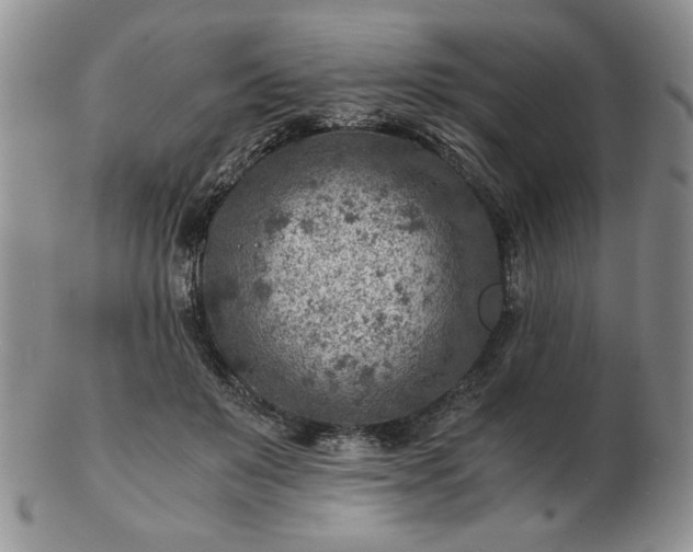 X0000102820503200808251114