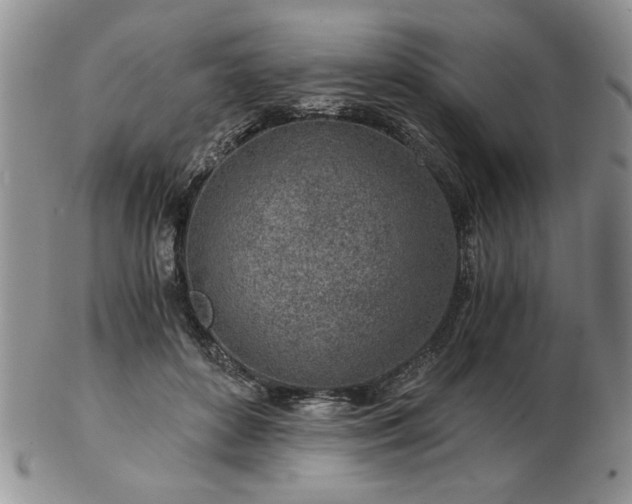 X0000102820504200808251114