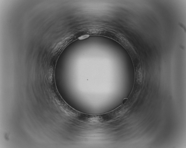 X0000102820505200808251114