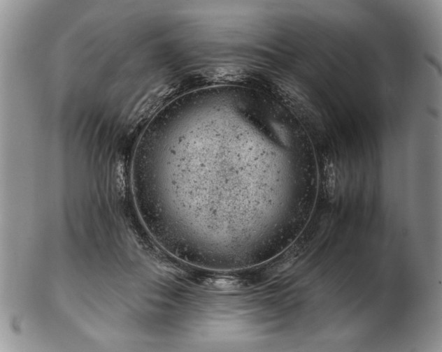X0000102820506200808251114