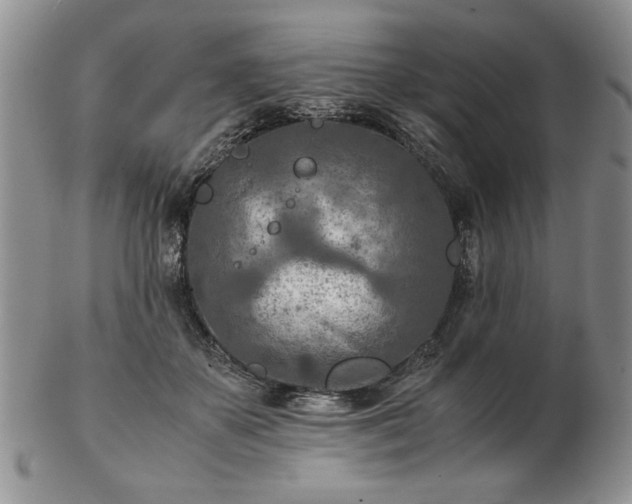 X0000102820507200808251114