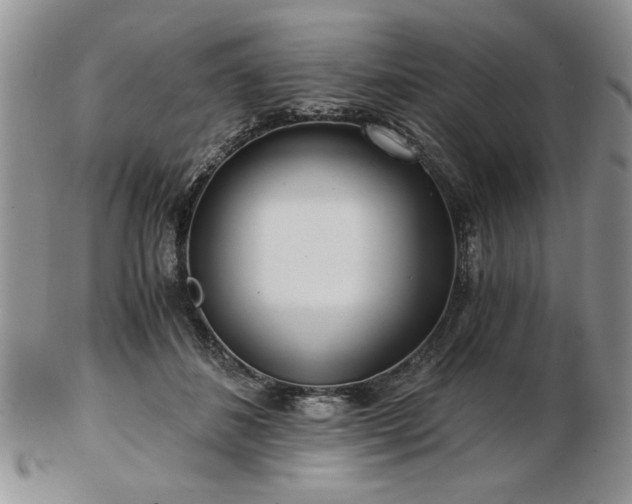 X0000102820508200808251114