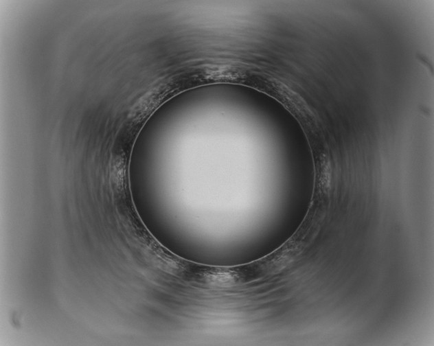 X0000102820513200808251114