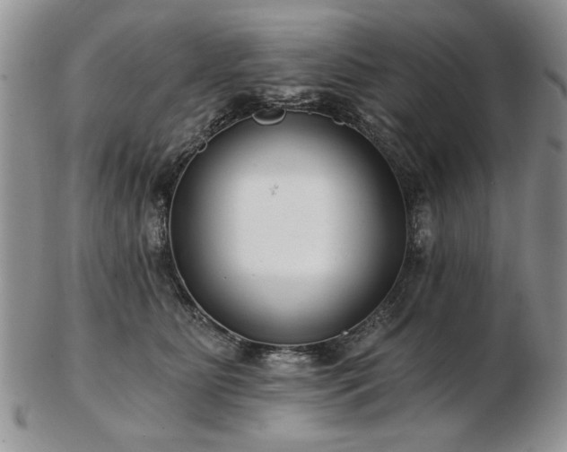 X0000102820515200808251114
