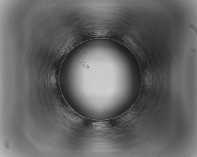 X0000102820516200808251114