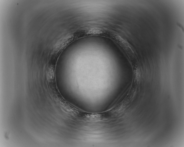 X0000102820517200808251114