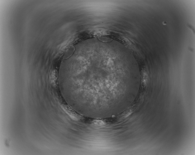 X0000102820519200808251114