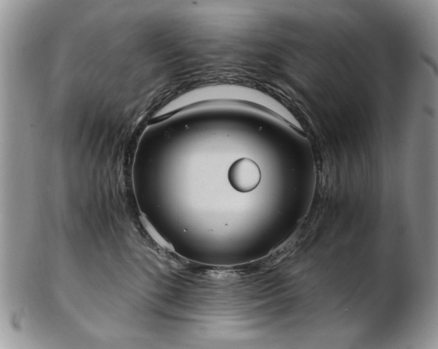 X0000102820520200808251114
