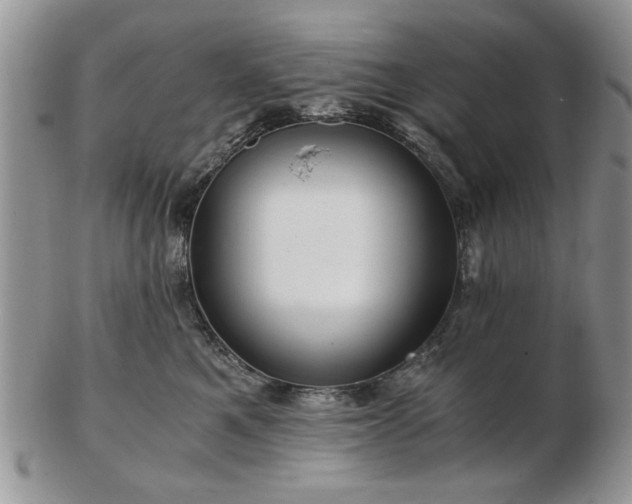 X0000102820521200808251114