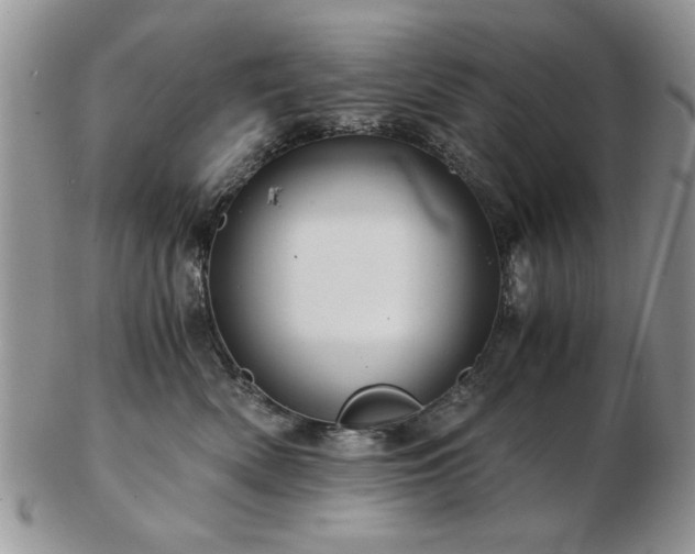 X0000102820522200808251114
