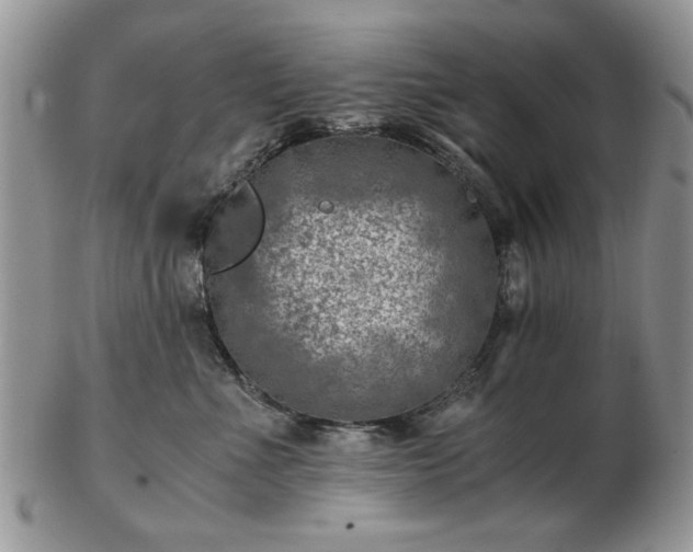 X0000102820523200808251114