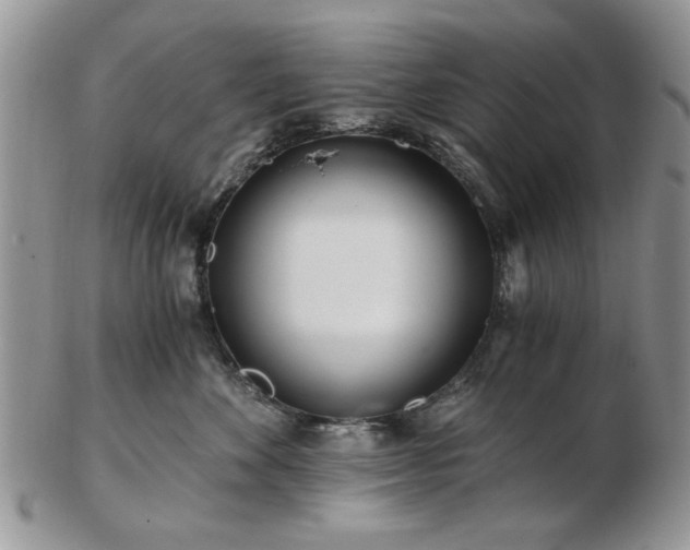 X0000102820524200808251114
