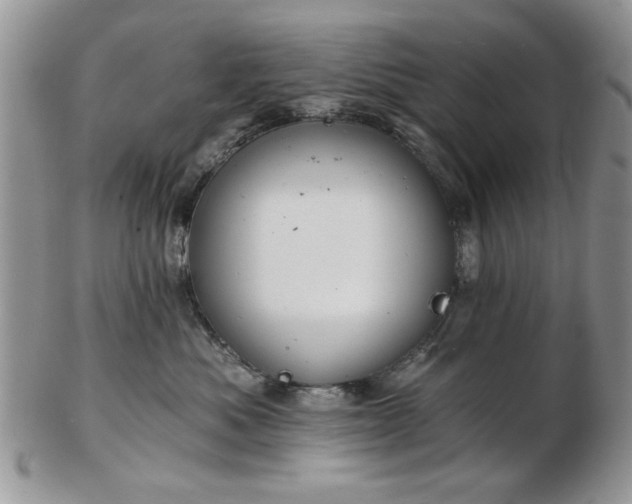X0000102820525200808251114
