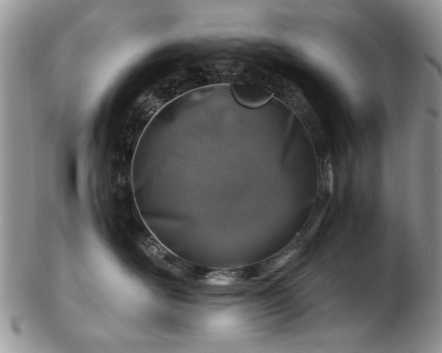 X0000102820526200808251114