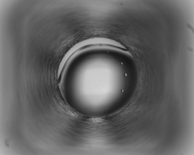 X0000102820528200808251114