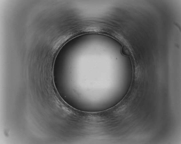 X0000102820529200808251113